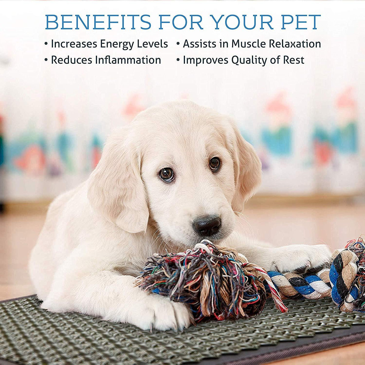 HealthyLine 4-in-1 Pet Mat Tourmaline Medium 3220 Firm - Heating Pet Bed with Far Infrared Rays Therapy - PEMF 7.8 Hz - Tension and Muscle Relaxation Hot Stone Therapy - Negative Ion Therapy