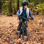 Royce Union Kids Aluminum Mountain Bike, Boys, Dual Suspension, 6-Speed 20inch, RTX, Black (73509)