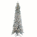 Sterling Clear Prelit Incandescent Green Flocked Pine Christmas Trees, 9'