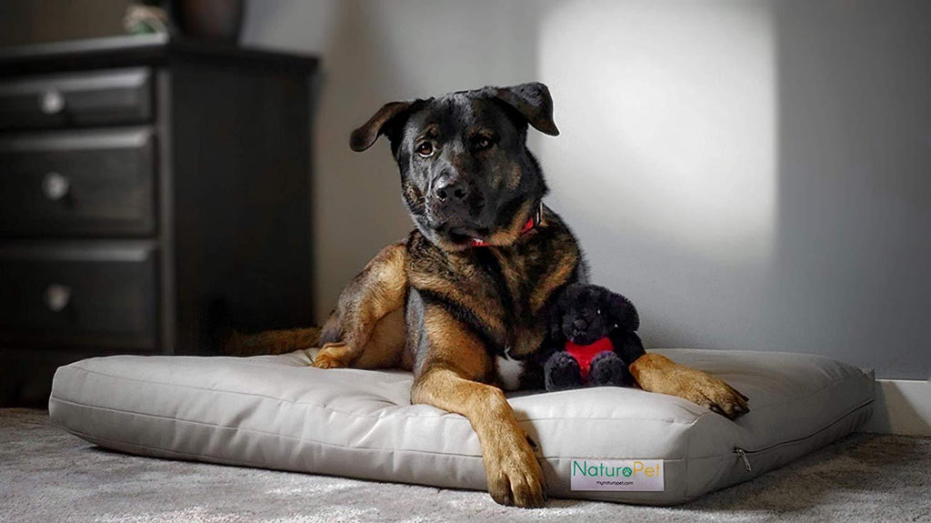 NaturoPet Natural Orthopedic Dog Bed, Premium Virgin Wool &amp; Coco-Latex Pet Mattress Removable Washable Cover Water Resistant Indoor-Outdoor Durable Chew Resistant Made in USA