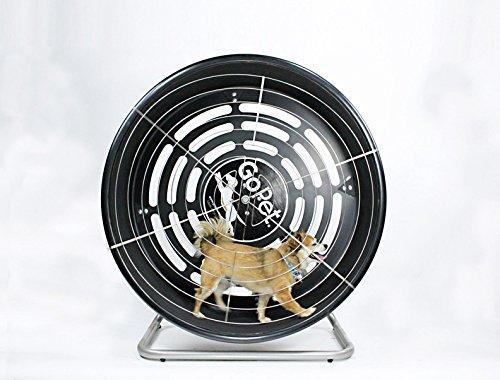 GOPET CG4012 Dog Powered Tread Wheel - Small - Toy Breed - Black