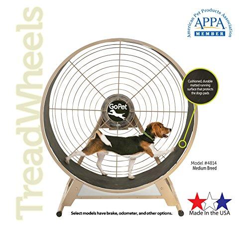 GOPET CG4012 Dog Powered Tread Wheel - Small - Toy Breed - Black