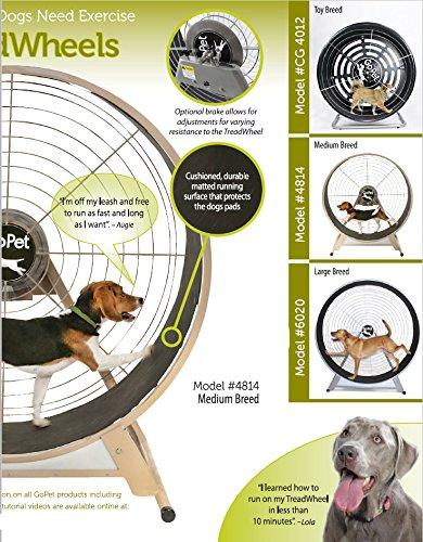 GOPET CG4012 Dog Powered Tread Wheel - Small - Toy Breed - Black