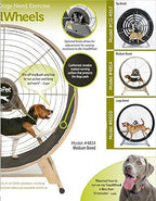 GOPET CG4012 Dog Powered Tread Wheel - Small - Toy Breed - Black