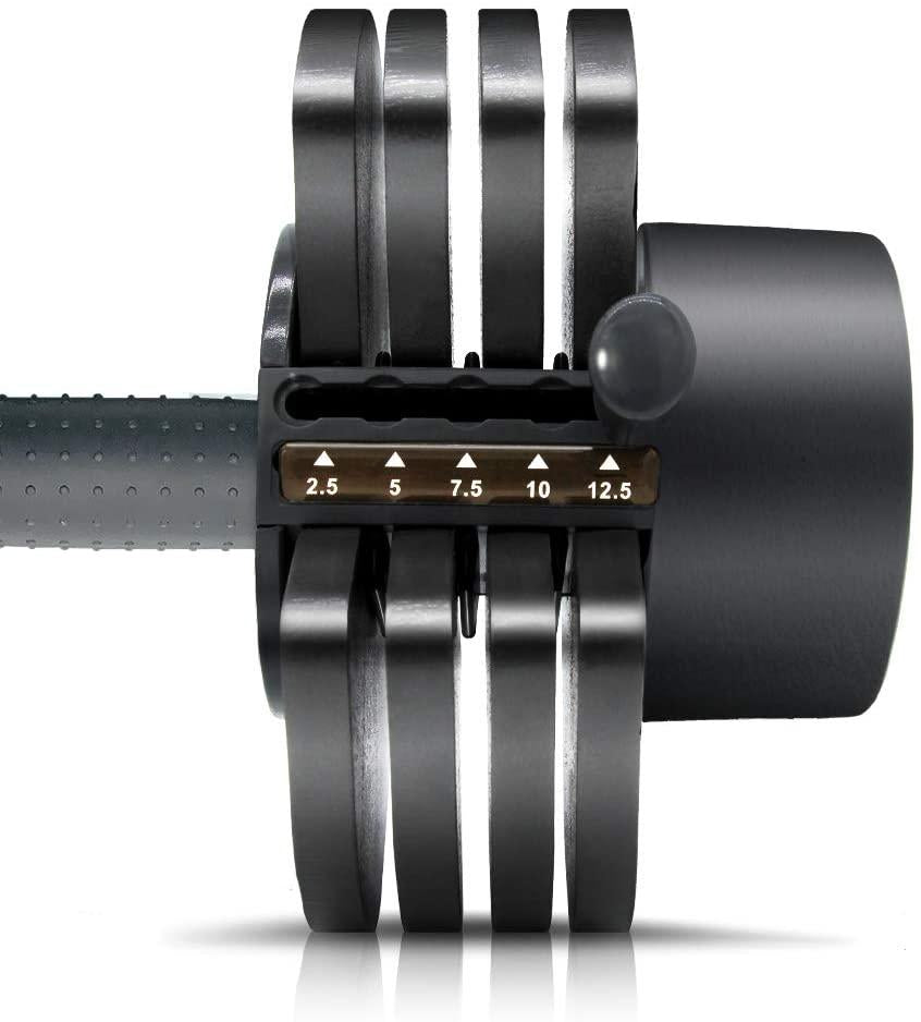ATIVAFIT Adjustable Dumbbell for Workout Strength Training Fitness Weight Gym, 27.5 Pounds (Single)