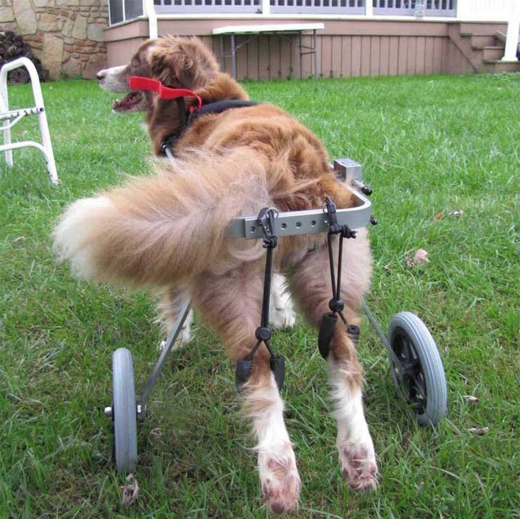 Dog Wheelchair for Back Legs Adjustable Dog Wheelchair, Rear Leg Rehabilitation for Small Dog/Dog/Disabled Puppy, 2 Wheel Pet Carts Best Friend Agility Equipment for Dog Dog Carts with Wheels