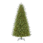 9 ft Grand Duchess Balsam Fir