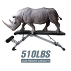 RitFit Adjustable Foldable Utility Weight Bench for Home Gym, Weightlifting and Strength Training - Bonus Workout Poster
