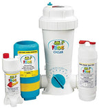 pool frog mineral purifier replacement in ground value pack
