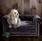 TOV Furniture Dachshund Collection Velvet Upholstered  Elevated Sofa Pet Dog Bed