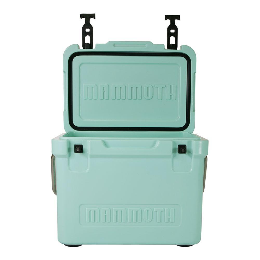 Cruiser Series 20 qt. Chest Cooler in Seafoam