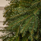 7.5 ft Dunhill Fir Unlit Christmas Tree