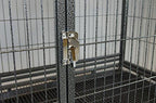 Homey Pet 37" Open Top Heavy Duty Dog Pet CaKennel w/Tray, Floor Grid, and Casters