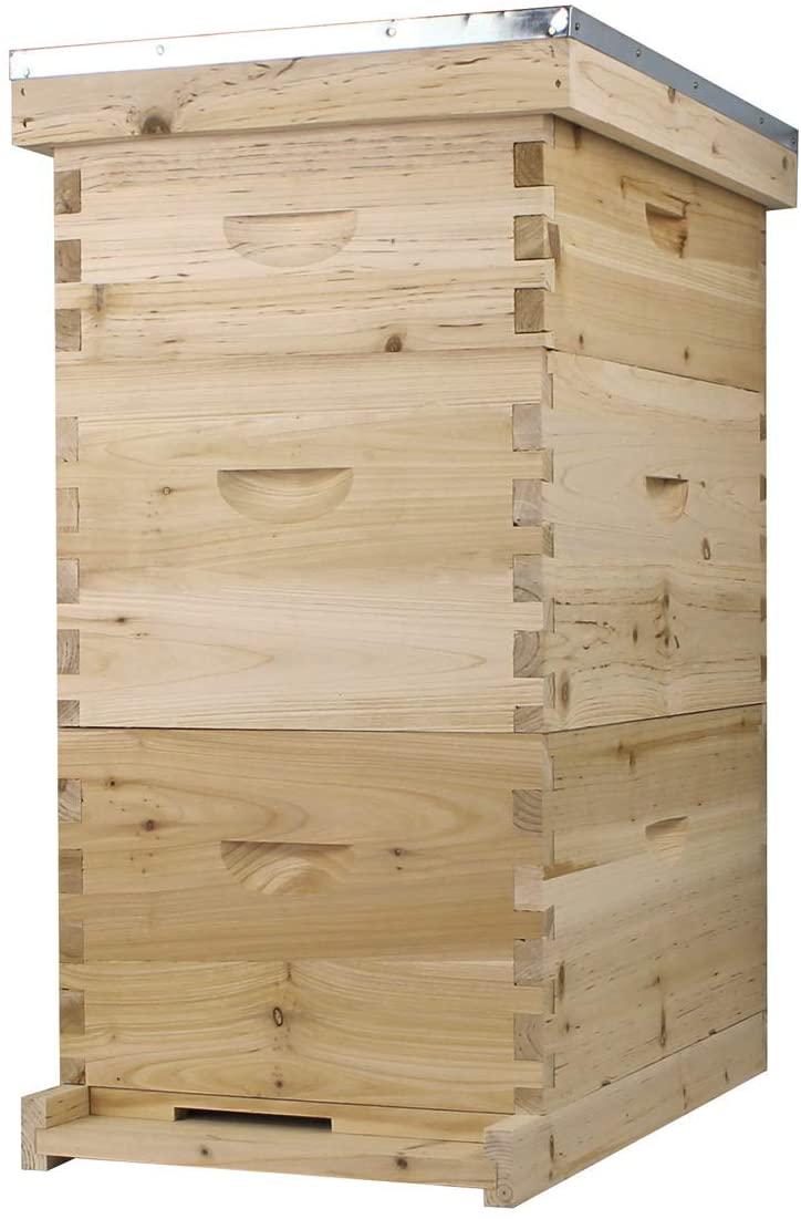 bee hive complete with frames &amp; wax coated foundations (nu8-2d1m)