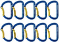 Fusion Climb Aluminum Spiridon Bent Gate Modified D-shaped Carabiner 10-Pack