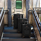 Sion Softside Expandable Luggage, Black, Checked-Large 29-Inch