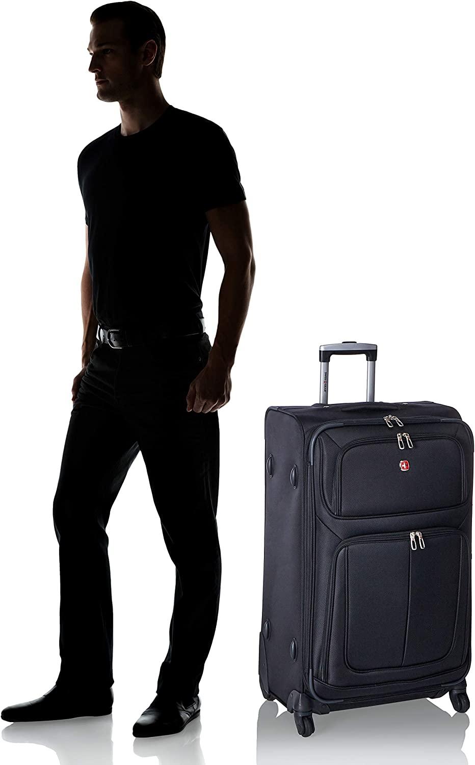 Sion Softside Expandable Luggage, Black, Checked-Large 29-Inch