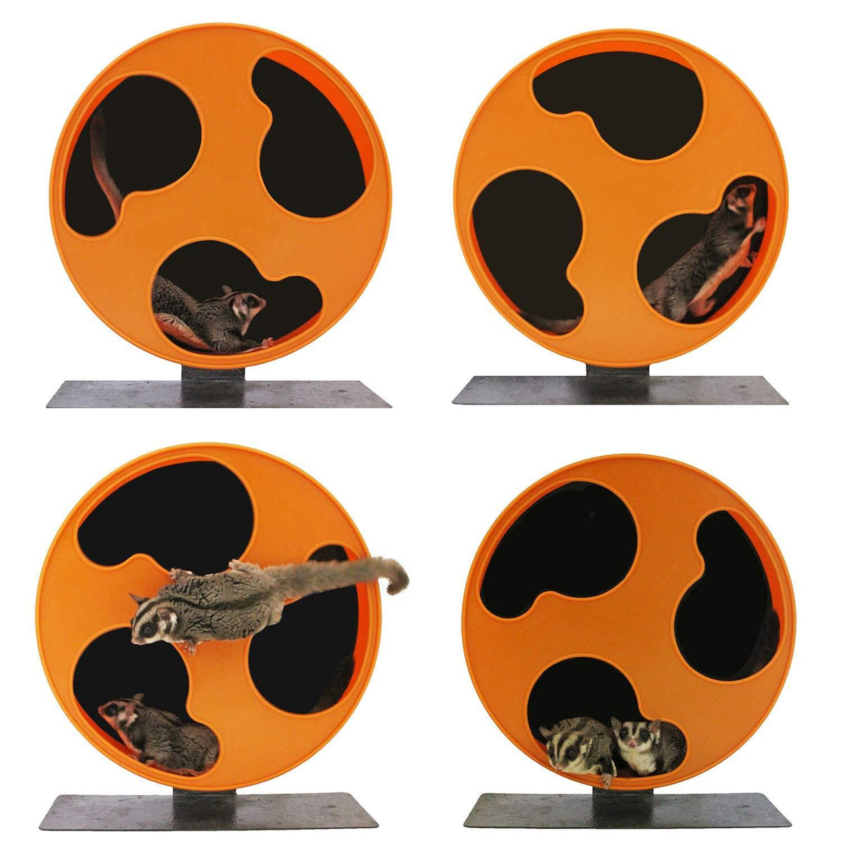 Silent Runner 12" Regular - Exercise Wheel + CaAttachment