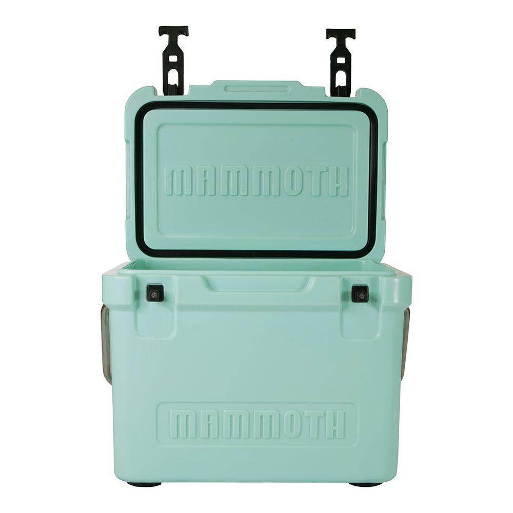 Cruiser Series 30 Qt. Chest Cooler in Seafoam