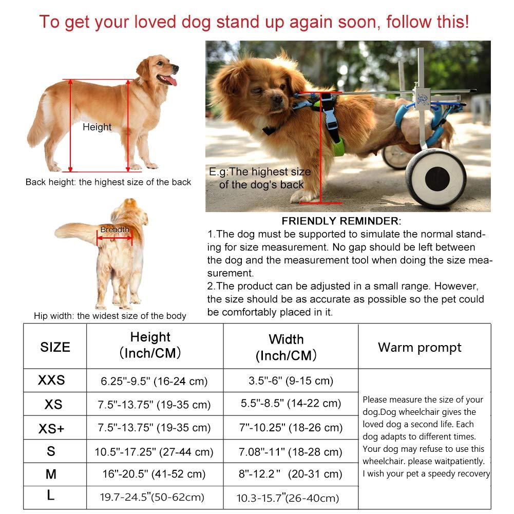 HiHydro 6 Types Cart Pet Wheelchair for Handicapped Hind Legs Small Dog Cat/Doggie/Puppy Walk  Steel -L