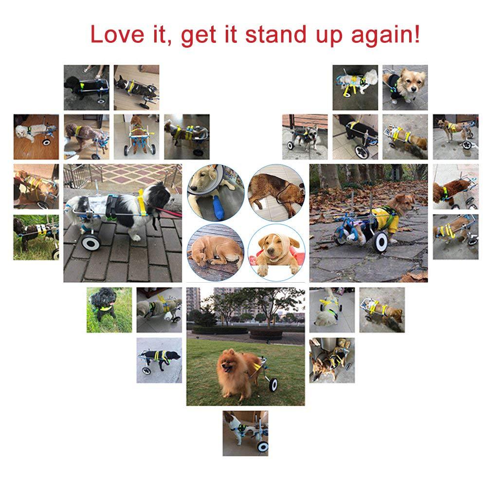 HiHydro 6 Types Cart Pet Wheelchair for Handicapped Hind Legs Small Dog Cat/Doggie/Puppy Walk  Steel -L