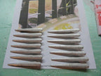 CADILLAC  1930S 1932 1933 hood door sliders v 12 v 16 V-8