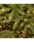 National Tree 9' Dunhill Fir Tree with 900 Clear Lights
