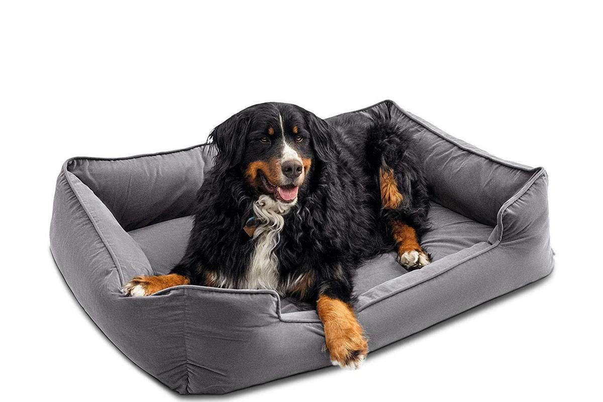 Petsbao Premium Orthopedic Dog Bed &amp; Lounwith Solid Memory Foam | Waterproof Liner | Washable Removable Cover | Superior Comfort to Ease Pain of Arthritis &amp; Hip Dysplasia