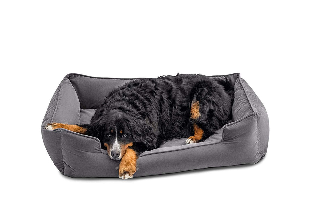 Petsbao Premium Orthopedic Dog Bed &amp; Lounwith Solid Memory Foam | Waterproof Liner | Washable Removable Cover | Superior Comfort to Ease Pain of Arthritis &amp; Hip Dysplasia