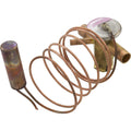 Zodiac Pool Solutions Thermal Expansion Valve, Zodiac, Je2000T/Je2500T