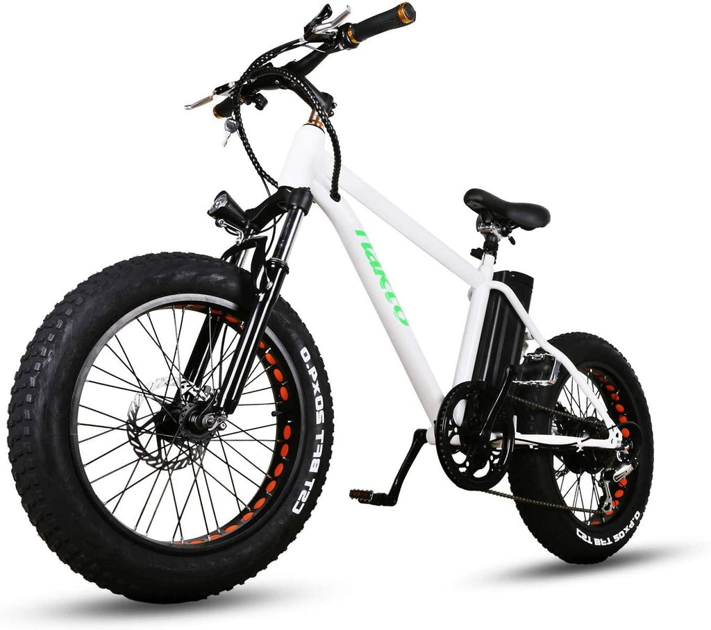 20" 300W Fat Tire Electric Bicycles Snow Beach Mountain Bike  6 Speed Gear E-Bike with Removable Waterproof LarCapacity 36V10A Lithium Battery and Battery Charger Electric Bike