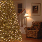 7.5 ft. PowerConnect Jersey Fraser Fir Medium with Dual Color LED Lights
