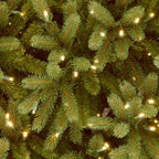 7.5 ft. PowerConnect Jersey Fraser Fir Medium with Dual Color LED Lights