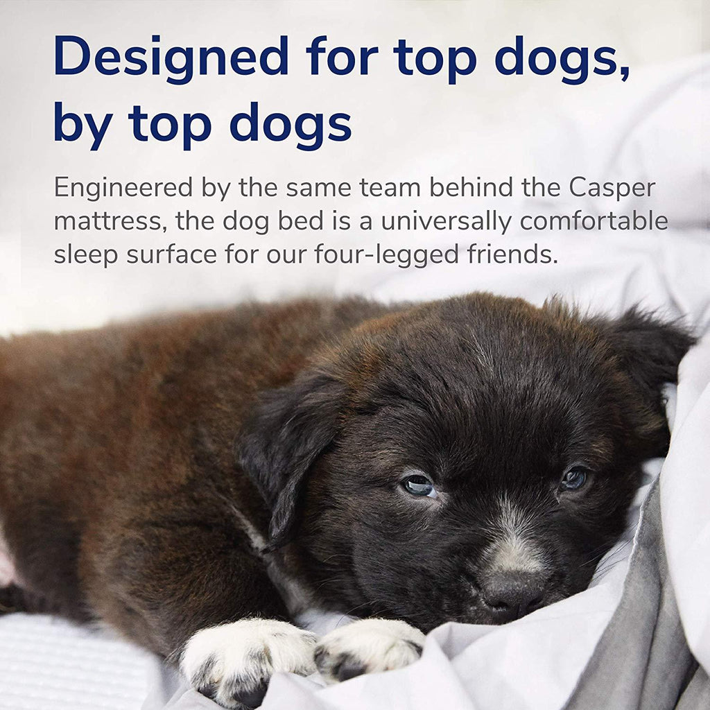 Casper Dog Bed, Plush Memory Foam