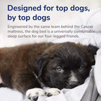 Casper Dog Bed, Plush Memory Foam