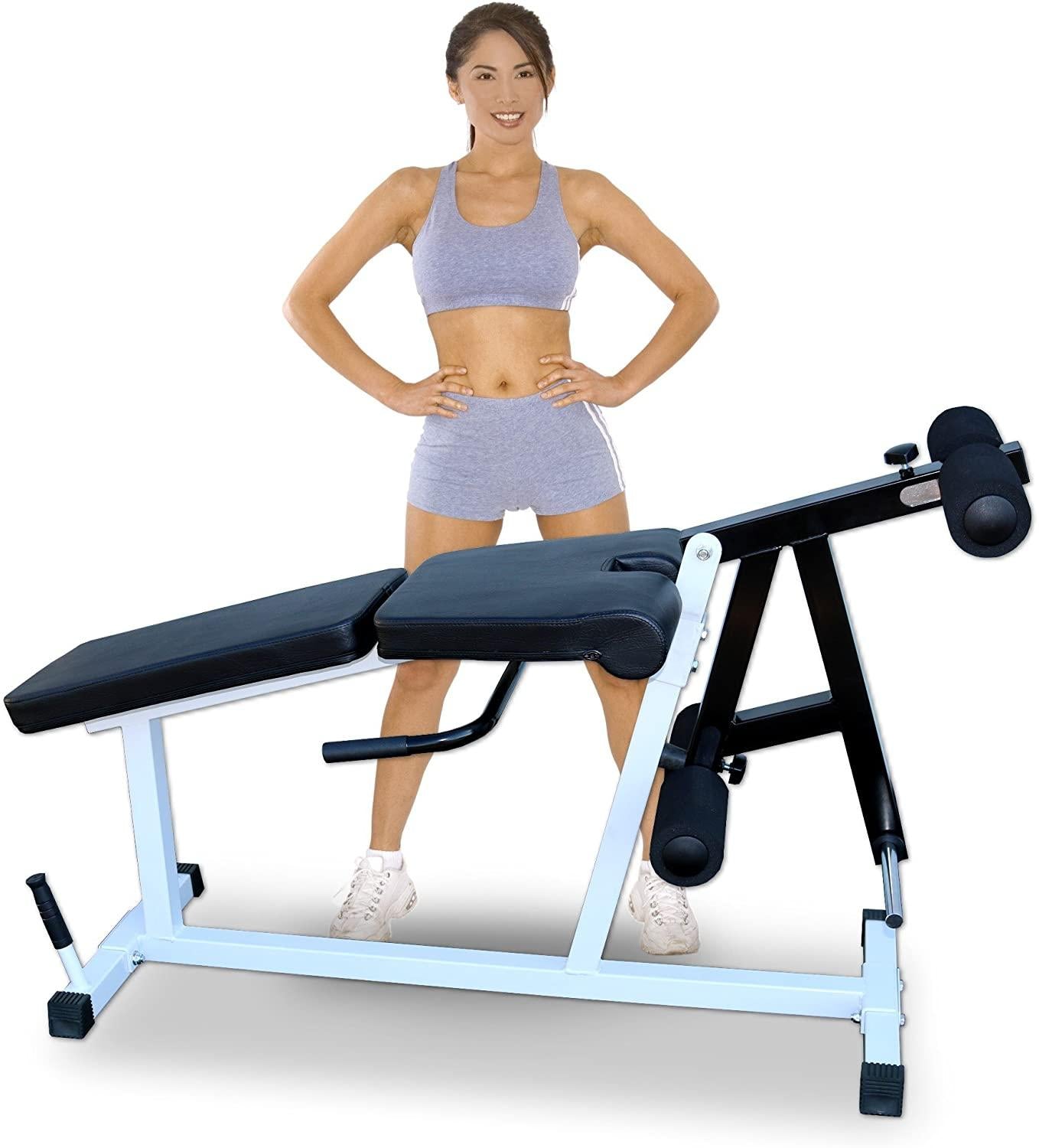 Leg Extension/Leg Curl Machine (DF807) by Deltech Fitness