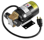 Lincoln 3669 Low Profile 17 Gallon Oil ChanTruck Drain with Evacuation Pump
