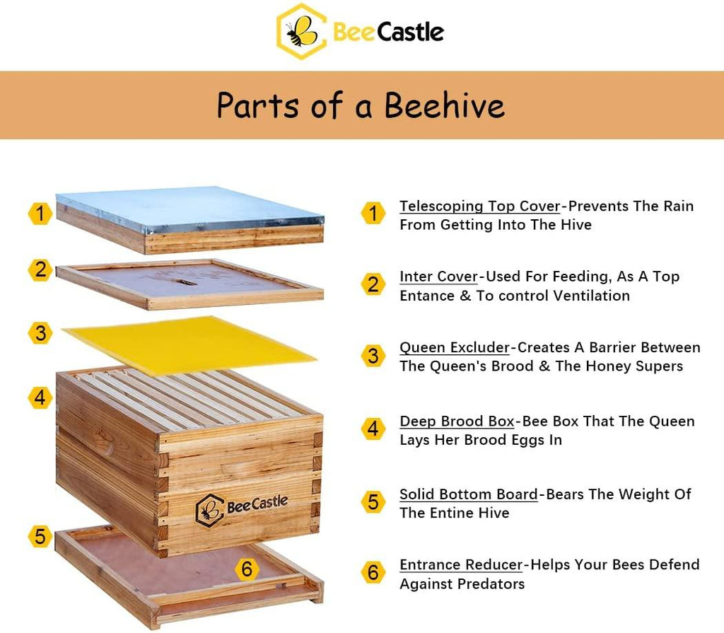 8-frame bee hives and supplies starter kit,beehive kit dipped in 100% beeswax,bee keeping supplies-all beginners kit includes beekeeping supplies tool set and bee suit.
