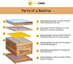 8-frame bee hives and supplies starter kit,beehive kit dipped in 100% beeswax,bee keeping supplies-all beginners kit includes beekeeping supplies tool set and bee suit.