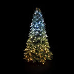 Twinkly - Gold Edition - App-Controlled LED Pre-lit Christmas Tree (7.5 ft )
