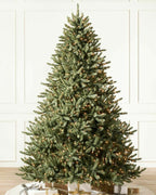 Balsam Hill Classic Blue Spruce Height 7.5 Ft Width 60" Christmas Tree - Clear