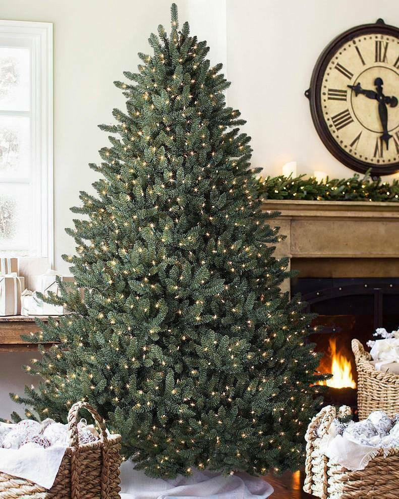 Balsam Hill Classic Blue Spruce Height 7.5 Ft Width 60" Christmas Tree - Clear