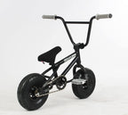 Mayhem Riot Mini BMX Bike (Black Widow)