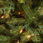 7' Pre-Lit Aspen Spruce Artificial Christmas Tree - Clear Lights