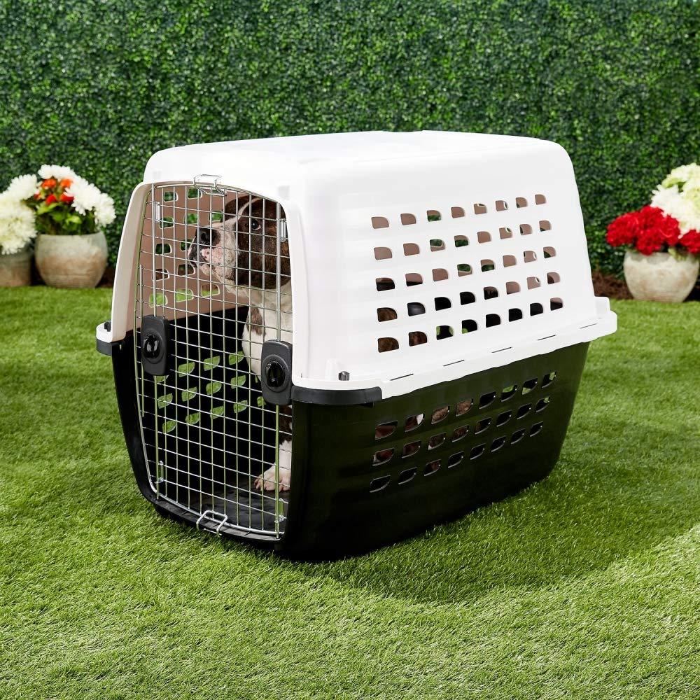 Petmate Compass Plastic Pets Kennel with  Door
