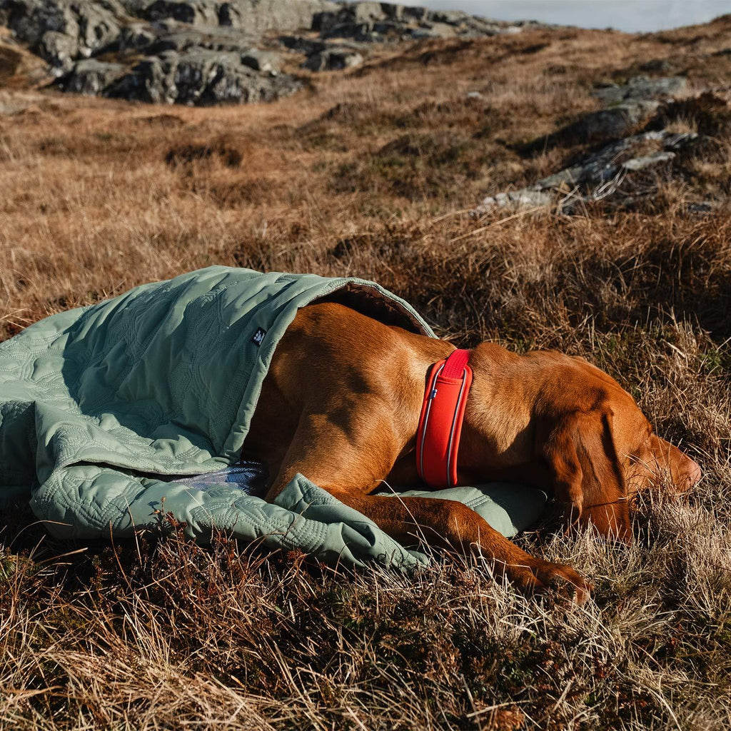 Hurtta - Outback Dreamer ECO Dog Sping Bag with Travel Bag for Camping, Hiking