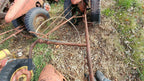 david bradley walk behind tractor with sickle bar mower