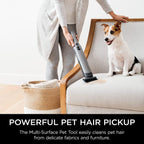 Shark WV201 WANDVAC Handheld Vacuum, Lightweight at 1.4 Pounds with Powerful Suction, Charging Dock, Single Touch Empty and Detachable Dust Cup