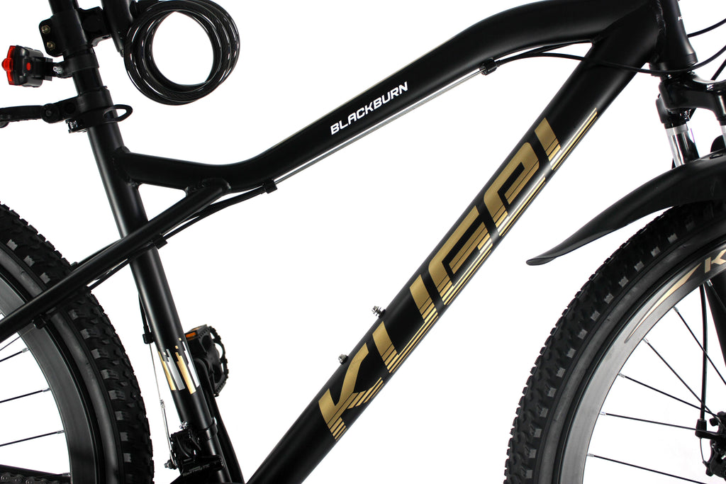 Black Friday Deals! 29 inch Mountain Bike for Adult and Youth, 21 Speed Lightweight Mountain Bikes Dual Disk Brakes Suspension Fork, Black/Gold