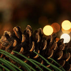 30 in. Long Pine Needle Artificial Christmas Wreath